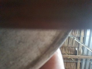 hornylittleprincess69 Porn Show