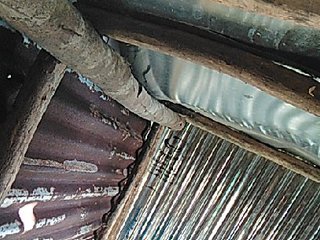 Image capture of hornylittleprincess69