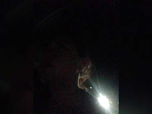 XXhornywetprincess99XX