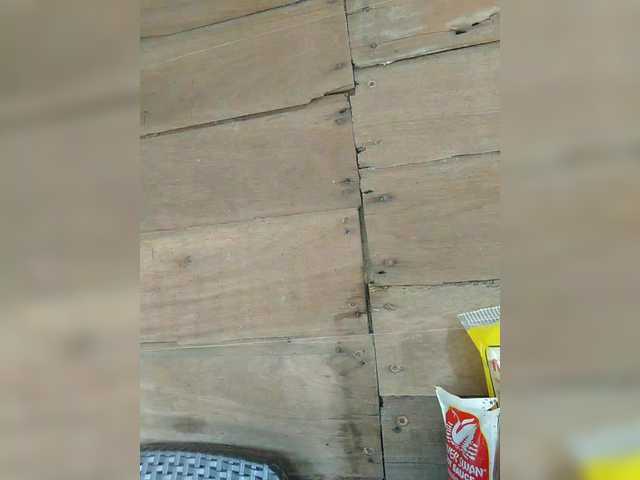 hornylittleprincess69