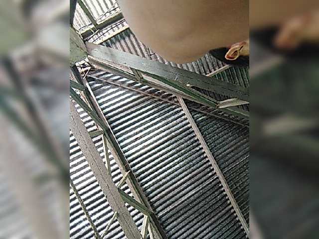 XXhornywetprincess99XX live cam on BongaCams