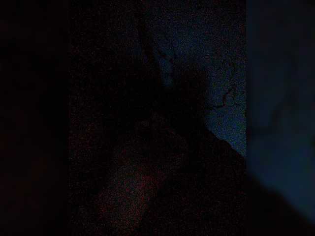 XXhornywetprincess99XX