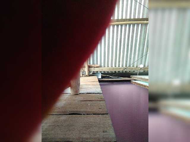 XXhornywetprincess99XX