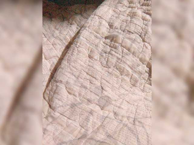 XXhornywetprincess99XX