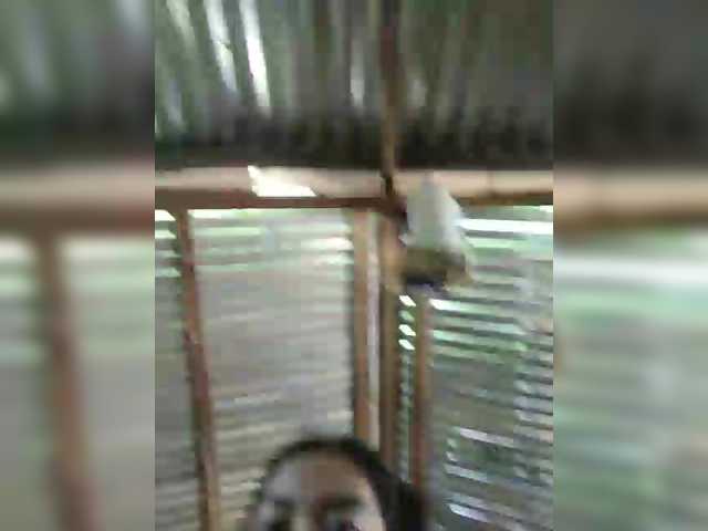xxhornywetprincess99xx live sex show