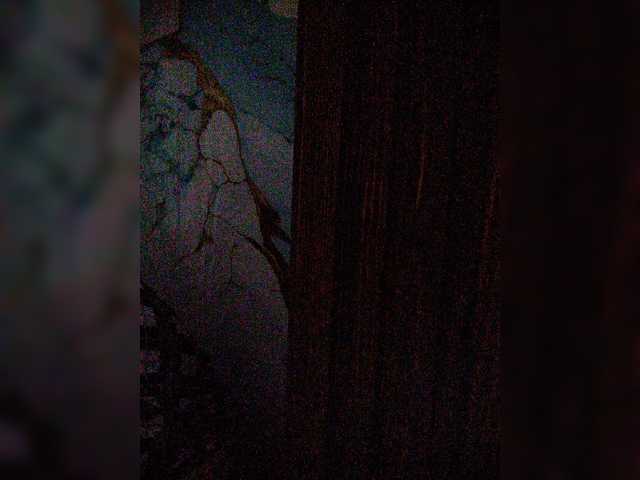 XXhornywetprincess99XX