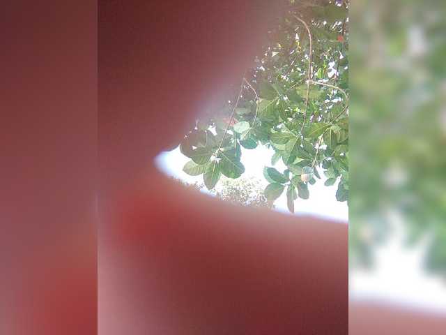 XXhornywetprincess99XX live cam