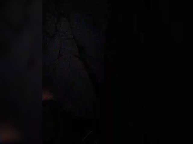 XXhornywetprincess99XX
