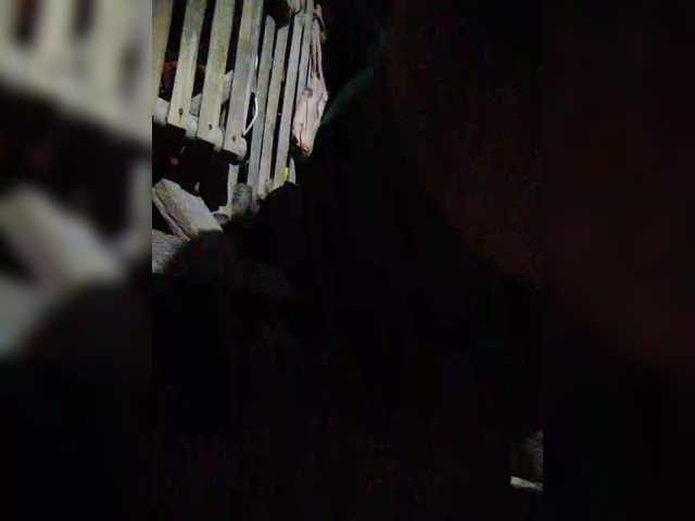 hornylittleprincess69