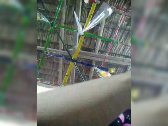 XXhornywetprincess99XX