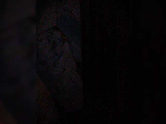 hornylittleprincess69