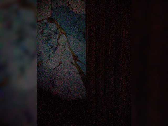 XXhornywetprincess99XX