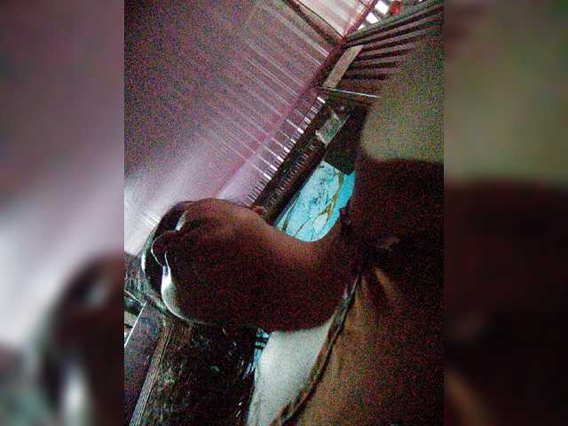 XXhornywetprincess99XX
