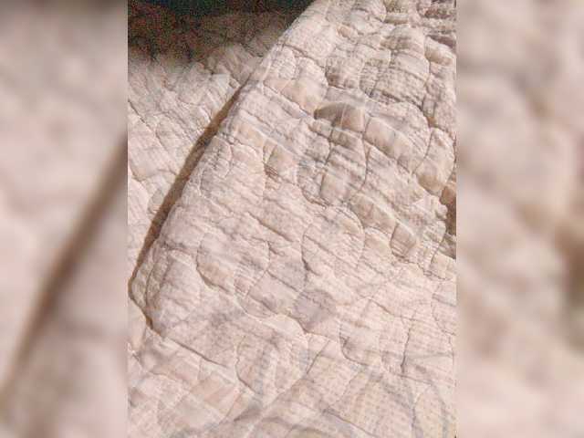 XXhornywetprincess99XX