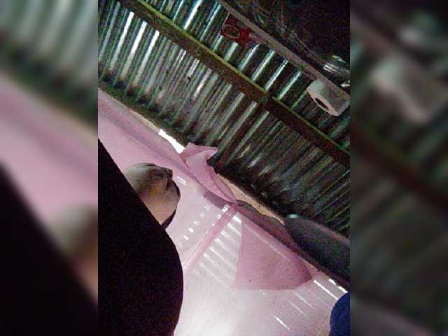 hornylittleprincess69