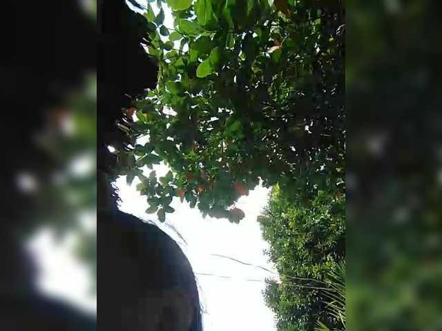 XXhornywetprincess99XX