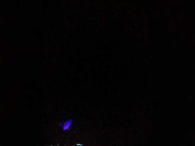 hornylittleprincess69