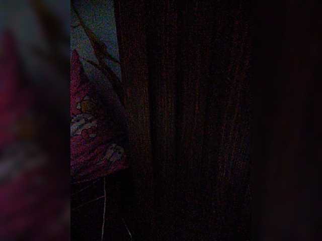 hornylittleprincess69 live cam on BongaCams