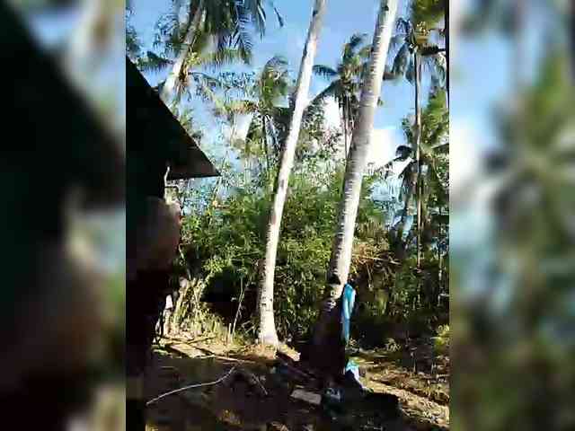 hornylittleprincess69 webcam