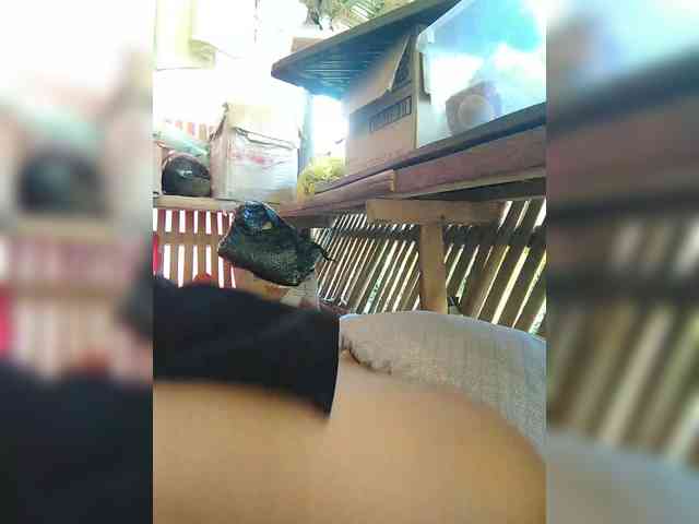 XXhornywetprincess99XX XXhornywetprincess99XX