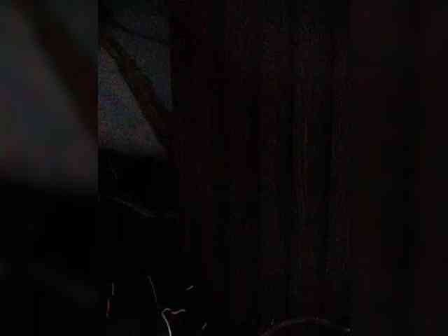 XXhornywetprincess99XX XXhornywetprincess99XX