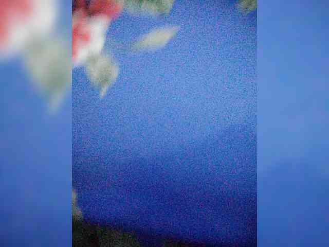 hornylittleprincess69 webcam