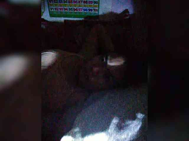 XXhornywetprincess99XX