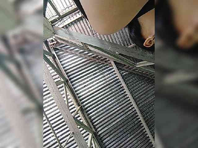 hornylittleprincess69 webcam