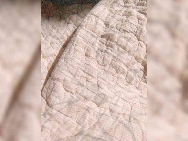 hornylittleprincess69 webcam