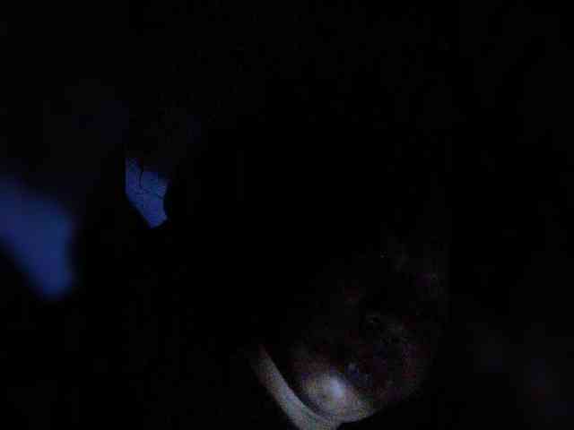 XXhornywetprincess99XX - Girl 