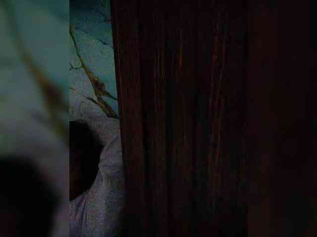 hornylittleprincess69
