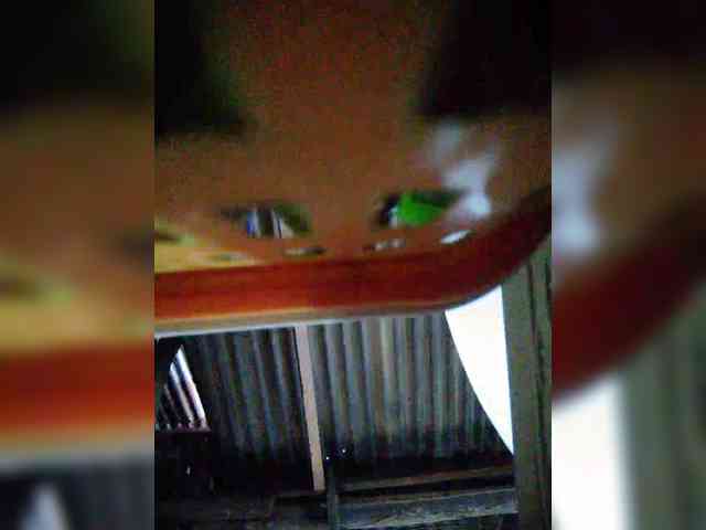 hornylittleprincess69