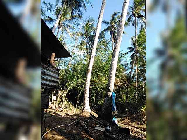 hornylittleprincess69 webcam