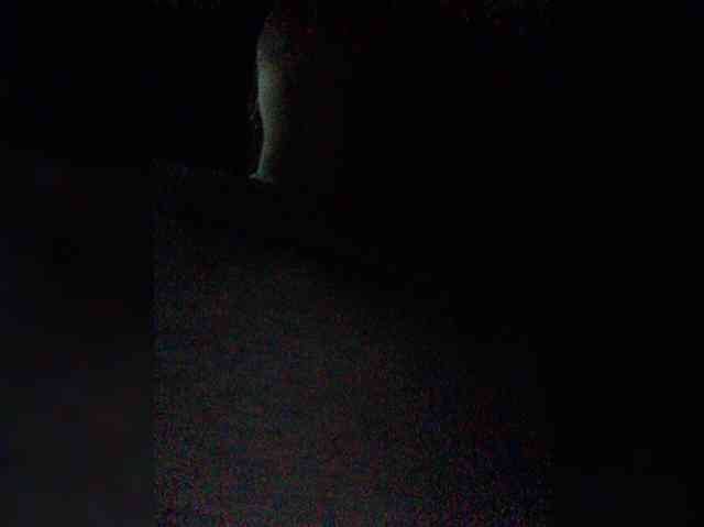 XXhornywetprincess99XX XXhornywetprincess99XX