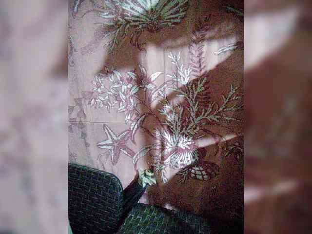 hornylittleprincess69 webcam