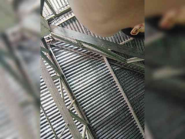 hornylittleprincess69