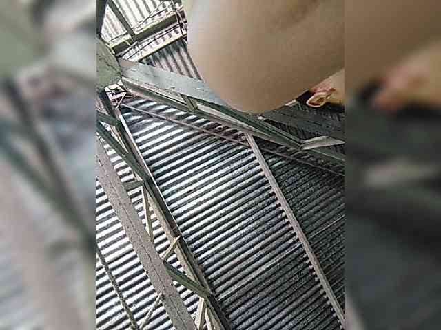hornylittleprincess69