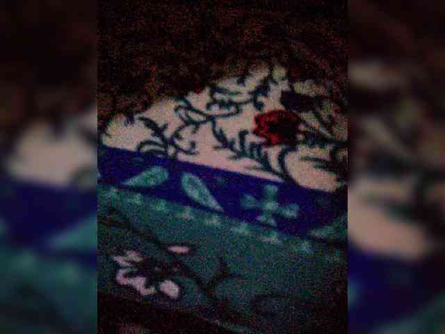 hornylittleprincess69 webcam