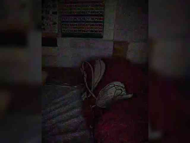 hornylittleprincess69