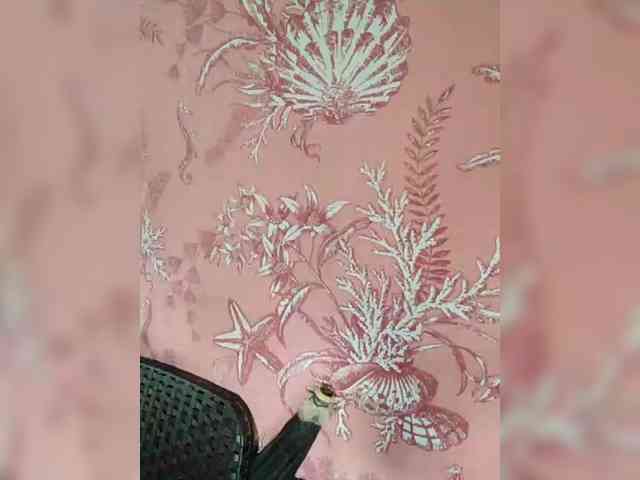 hornylittleprincess69 webcam