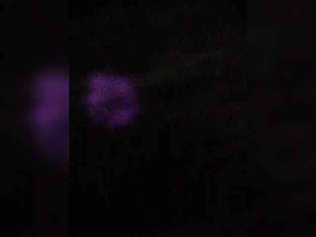 hornylittleprincess69 webcam