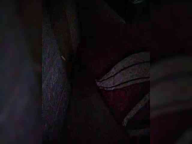 XXhornywetprince... Live Webcam on BongaCams