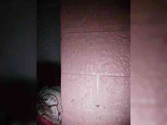 hornylittleprincess69