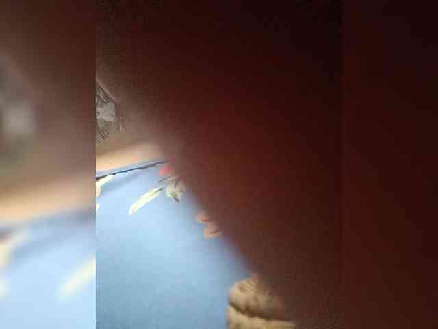 hornylittleprincess69 webcam
