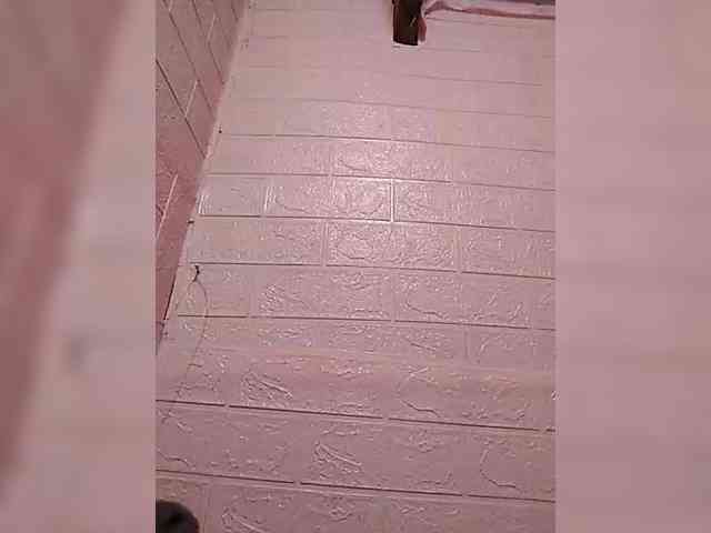 hornylittleprincess69 webcam