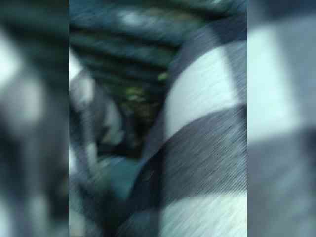 hornylittleprincess69