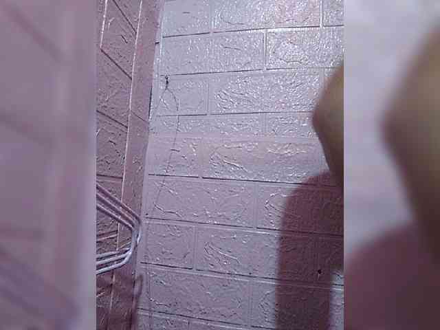 hornylittleprincess69 webcam