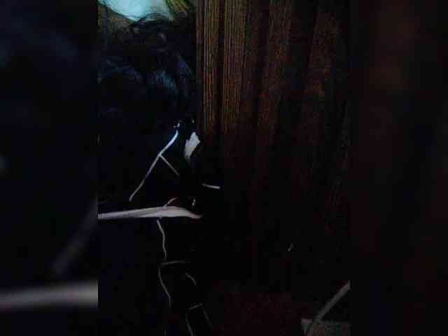 hornylittleprincess69 webcam
