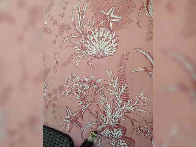 hornylittleprincess69 webcam