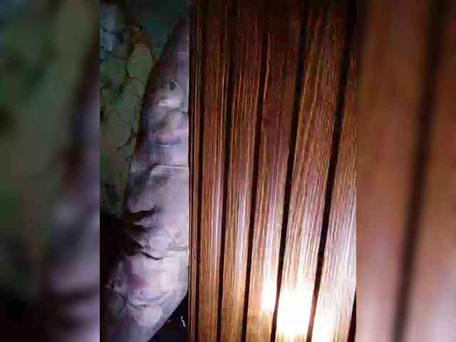 XXhornywetprincess99XX - Girl 